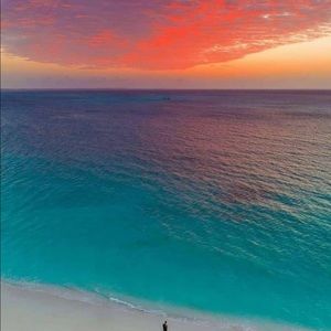 Meet your Posher, Anne